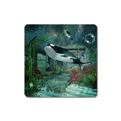 Wonderful Orca In Deep Underwater World Square Magnet by FantasyWorld7