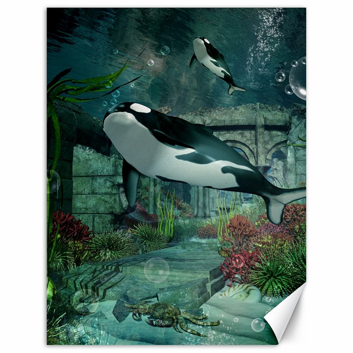 Wonderful Orca In Deep Underwater World Canvas 12  x 16  