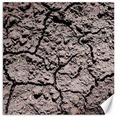 Earth  Dark Soil With Cracks Canvas 12  X 12   by FunnyCow