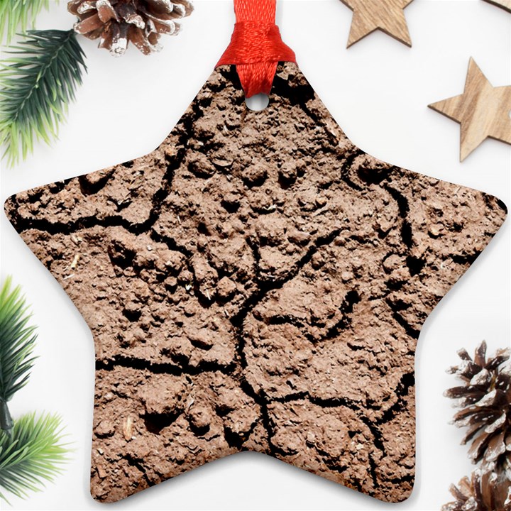 Earth. Light Brown Wet Soil Star Ornament (Two Sides)