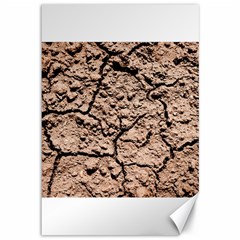 Earth  Light Brown Wet Soil Canvas 12  X 18   by FunnyCow