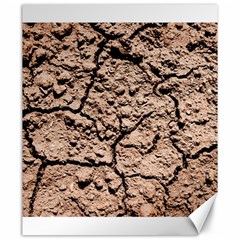 Earth  Light Brown Wet Soil Canvas 20  X 24   by FunnyCow