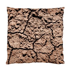 Earth  Light Brown Wet Soil Standard Cushion Case (one Side) by FunnyCow