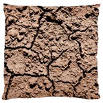 Earth. Light Brown Wet Soil Standard Flano Cushion Case (Two Sides) Front