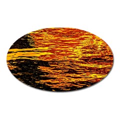 Liquid Gold Oval Magnet by FunnyCow