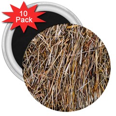 Dry Hay Texture 3  Magnets (10 Pack)  by FunnyCow