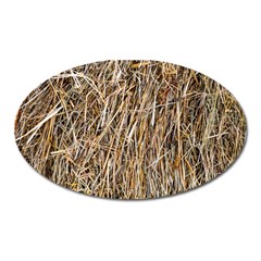 Dry Hay Texture Oval Magnet by FunnyCow