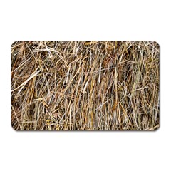 Dry Hay Texture Magnet (rectangular) by FunnyCow