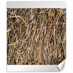 Dry Hay Texture Canvas 8  X 10  by FunnyCow