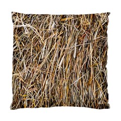 Dry Hay Texture Standard Cushion Case (two Sides) by FunnyCow