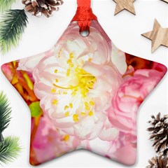 Pink Flowering Almond Flowers Ornament (star) by FunnyCow