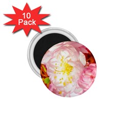 Pink Flowering Almond Flowers 1 75  Magnets (10 Pack)  by FunnyCow