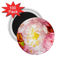 Pink Flowering Almond Flowers 2 25  Magnets (100 Pack)  by FunnyCow