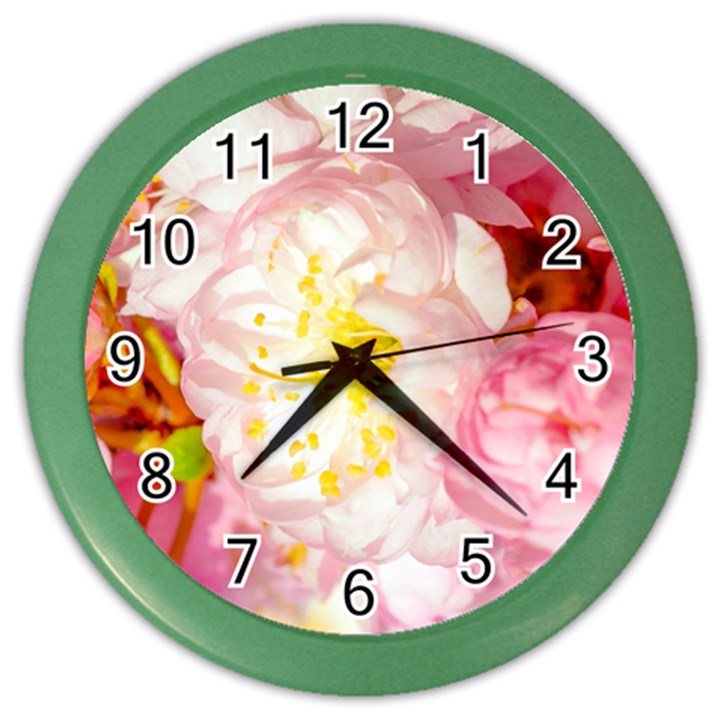 Pink Flowering Almond Flowers Color Wall Clock