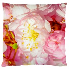 Pink Flowering Almond Flowers Standard Flano Cushion Case (one Side) by FunnyCow