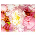 Pink Flowering Almond Flowers Double Sided Flano Blanket (Medium)  60 x50  Blanket Front