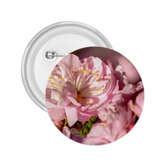 Beautiful Flowering Almond 2 25  Buttons by FunnyCow