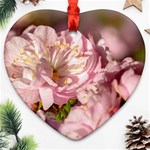 Beautiful Flowering Almond Ornament (Heart) Front