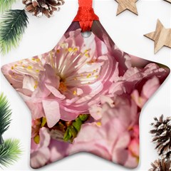 Beautiful Flowering Almond Ornament (star) by FunnyCow