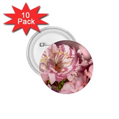 Beautiful Flowering Almond 1 75  Buttons (10 Pack) by FunnyCow