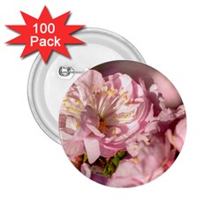 Beautiful Flowering Almond 2 25  Buttons (100 Pack)  by FunnyCow