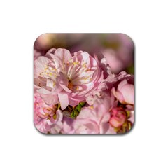 Beautiful Flowering Almond Rubber Coaster (square)  by FunnyCow