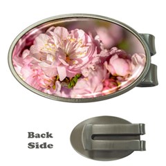 Beautiful Flowering Almond Money Clips (oval)  by FunnyCow