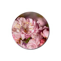 Beautiful Flowering Almond Rubber Round Coaster (4 Pack)  by FunnyCow