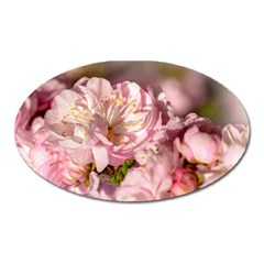 Beautiful Flowering Almond Oval Magnet by FunnyCow