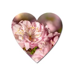 Beautiful Flowering Almond Heart Magnet by FunnyCow