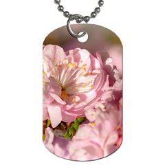 Beautiful Flowering Almond Dog Tag (one Side) by FunnyCow