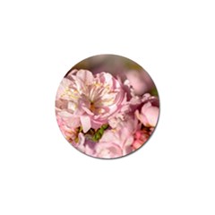 Beautiful Flowering Almond Golf Ball Marker (4 Pack) by FunnyCow