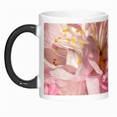 Beautiful Flowering Almond Morph Mugs by FunnyCow