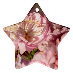 Beautiful Flowering Almond Star Ornament (two Sides) by FunnyCow