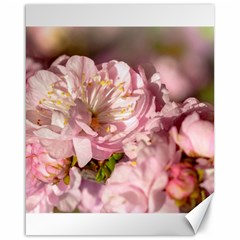 Beautiful Flowering Almond Canvas 16  X 20   by FunnyCow