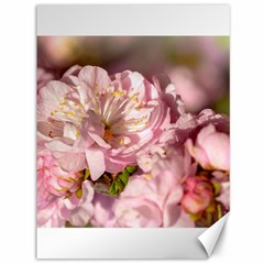 Beautiful Flowering Almond Canvas 36  X 48   by FunnyCow