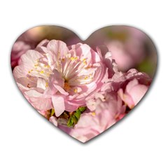 Beautiful Flowering Almond Heart Mousepads by FunnyCow