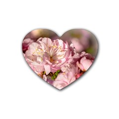 Beautiful Flowering Almond Rubber Coaster (heart)  by FunnyCow