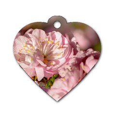 Beautiful Flowering Almond Dog Tag Heart (two Sides) by FunnyCow