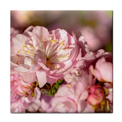 Beautiful Flowering Almond Face Towel by FunnyCow