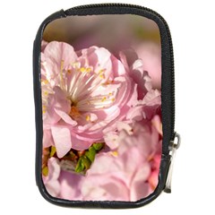 Beautiful Flowering Almond Compact Camera Cases by FunnyCow