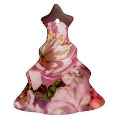 Beautiful Flowering Almond Christmas Tree Ornament (two Sides) by FunnyCow