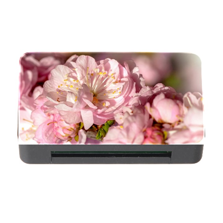 Beautiful Flowering Almond Memory Card Reader with CF