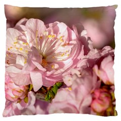 Beautiful Flowering Almond Large Cushion Case (two Sides) by FunnyCow