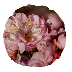 Beautiful Flowering Almond Large 18  Premium Round Cushions by FunnyCow