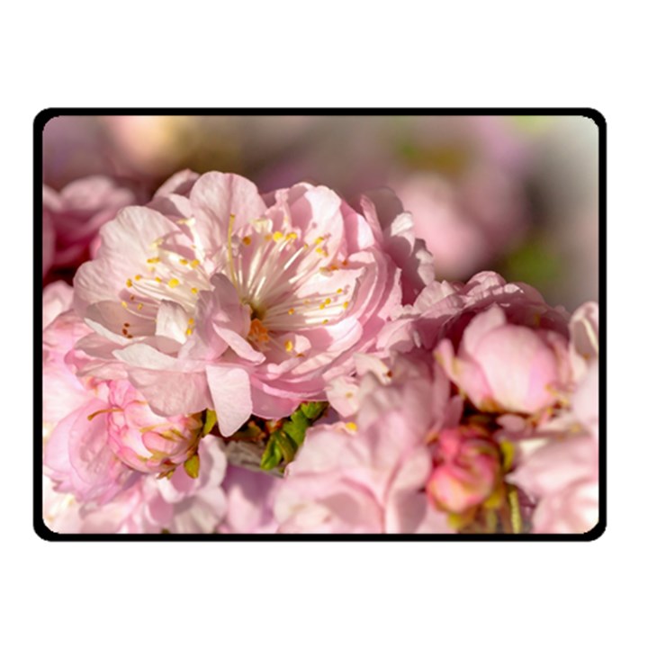 Beautiful Flowering Almond Double Sided Fleece Blanket (Small) 