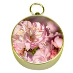 Beautiful Flowering Almond Gold Compasses Front