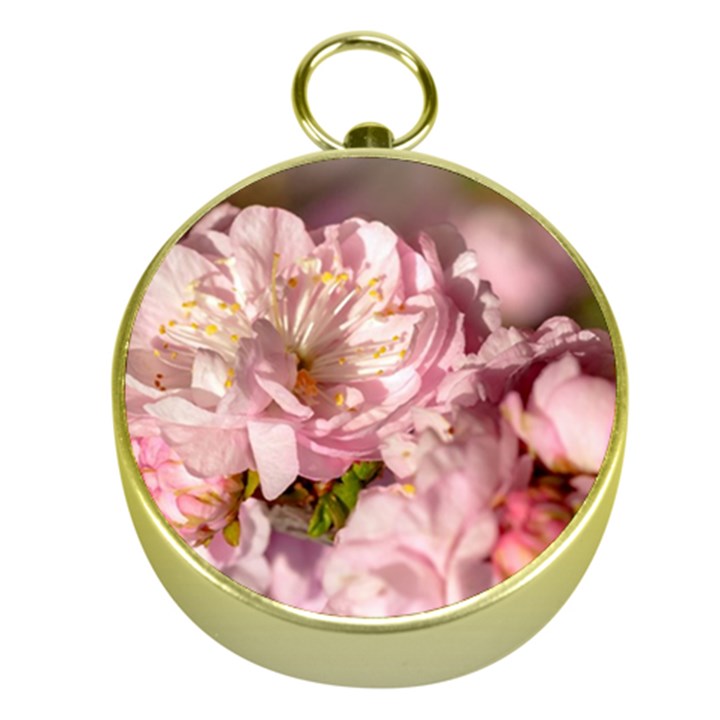 Beautiful Flowering Almond Gold Compasses