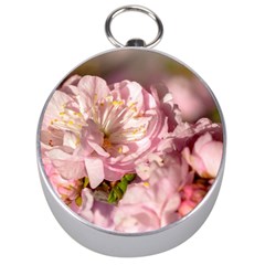 Beautiful Flowering Almond Silver Compasses by FunnyCow