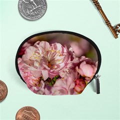 Beautiful Flowering Almond Accessory Pouches (small)  by FunnyCow